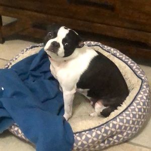 Meet your Posher, Marta